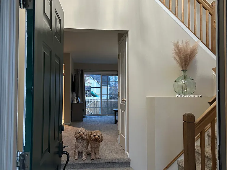 104 Kennedy Ln — Photo 4