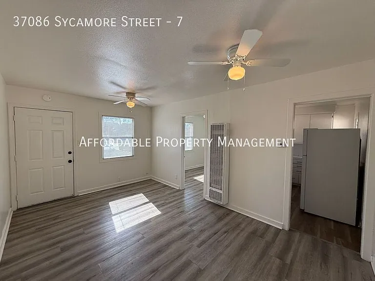 37086 Sycamore St #7 — Photo 5