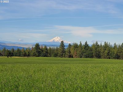 15 Buena Vista Ct, Goldendale, WA, 98620