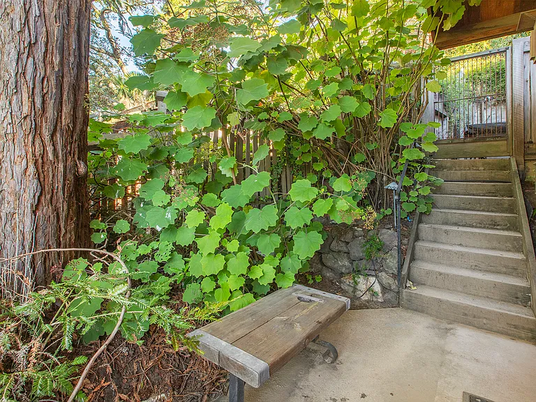 Buena Vista Way — Photo 16