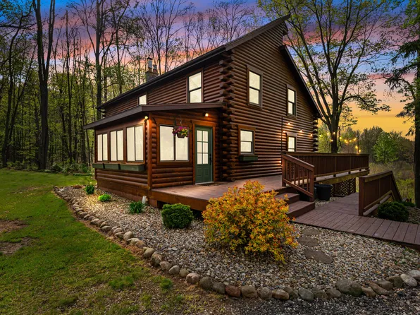 7051 Bowerman Rd, Horton, MI 49246