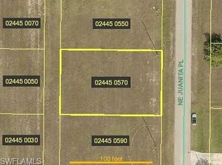 910 NE Juanita Pl, Cape Coral, FL 33909