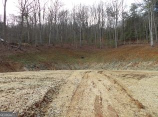 2 Sunnyside Rd #288, Hiawassee, GA 30546