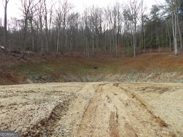 2 Sunnyside Rd #288, Hiawassee, GA 30546