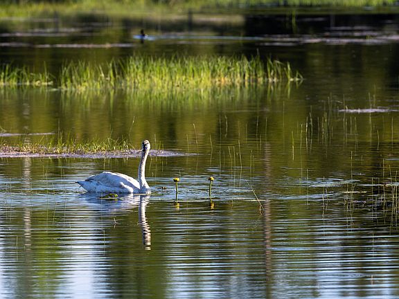 83rd image of this home