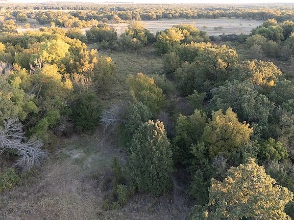 Mature Oaks and seasonal creek