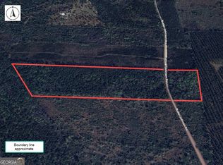 0 Butler Johnson Rd, White Oak, GA 31568