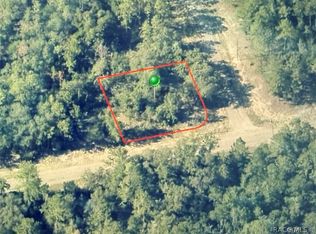 746 E Elston Pl, Citrus Springs, FL 34434