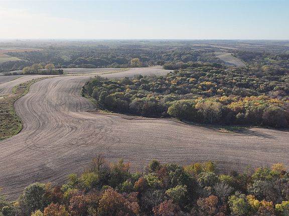 3rd image of Wagon Rd