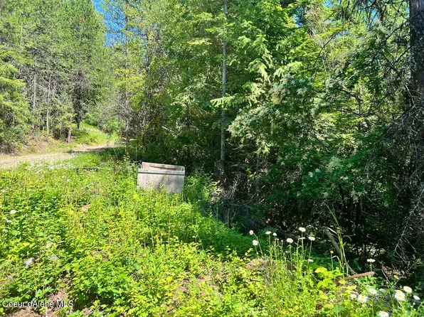 Nka Maple Ln, Fernwood, ID 83830