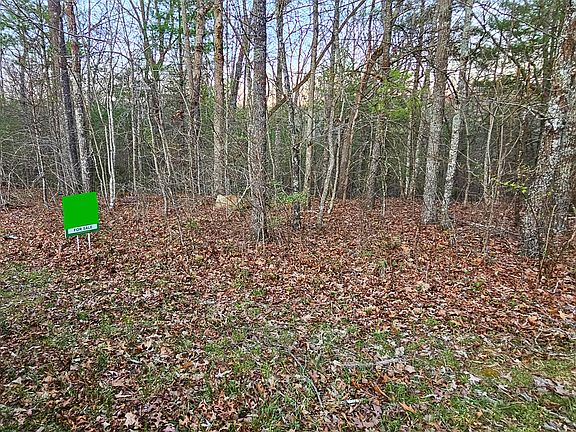 3rd image of 169 Natchez Cir