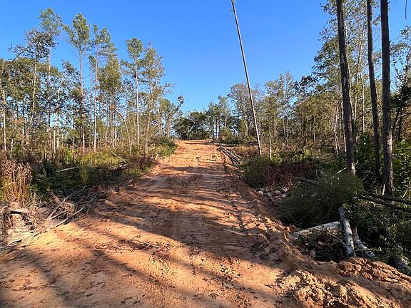 4th image of State Highway 310