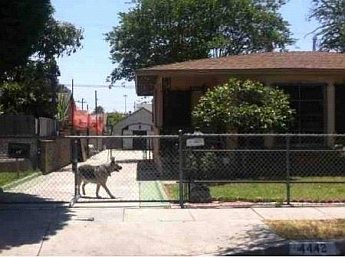 2nd image of 4442 Triggs St
