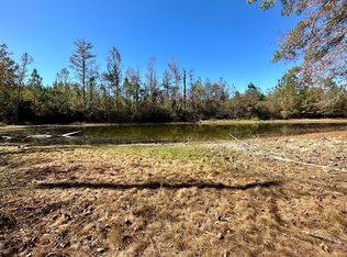 220 Deer Camp Rd, Braxton, MS 39044