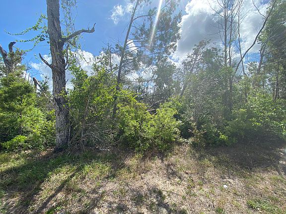 5th image of 402 Meadowview Ter