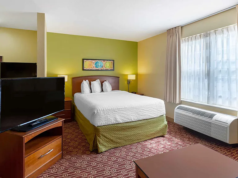Deluxe Studio - 1 Queen Bed