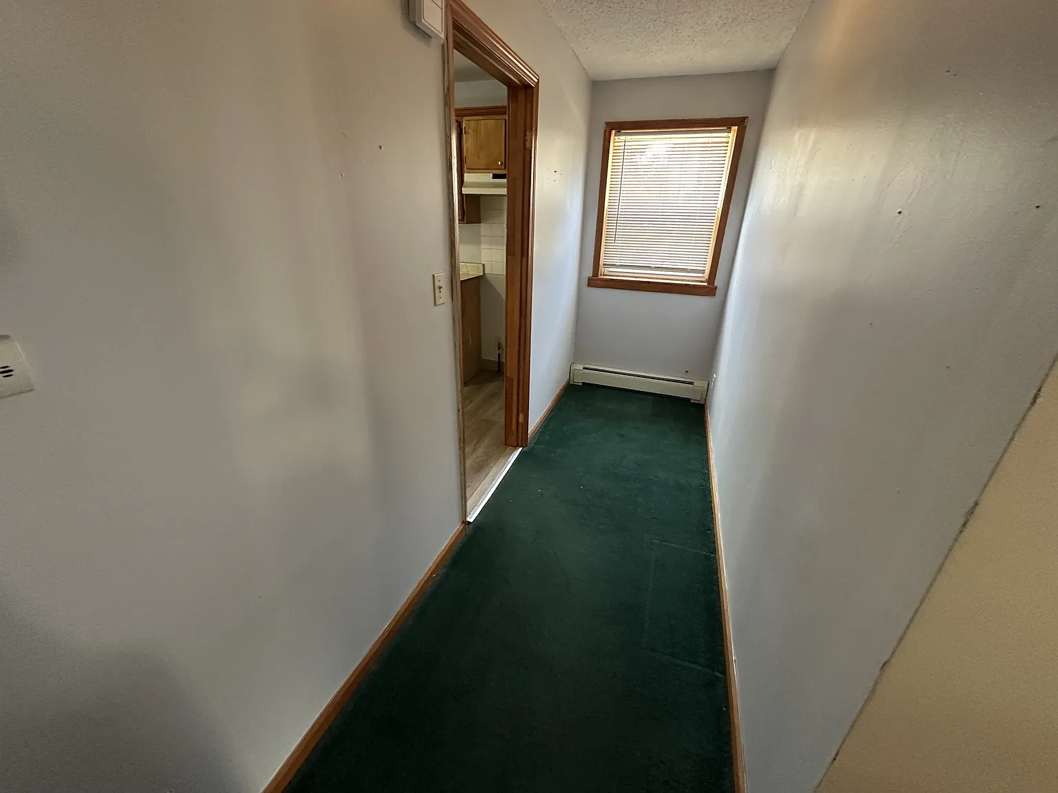 119 Ludington Street - Lower — Photo 2