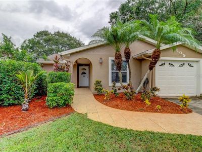 209 Cedar Key Ct, Oldsmar, FL, 34677