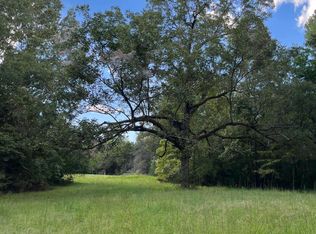 W Briar Lake Dr, Starkville, MS 39759