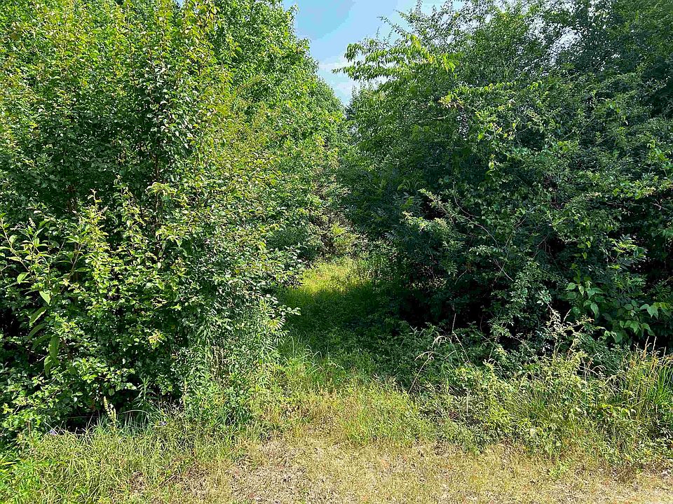 2nd image of 520 Reeder Rd