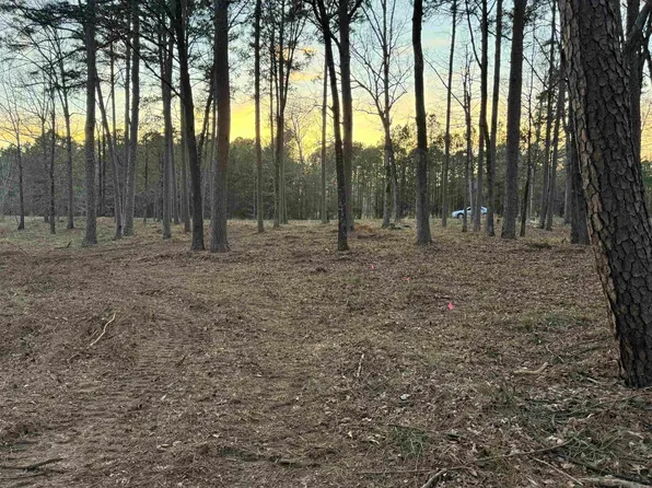 525 E Shore Dr, Drasco, AR 72530