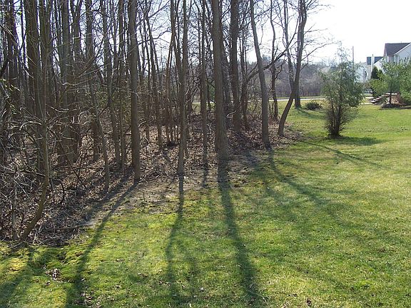 Private Wooded Yard