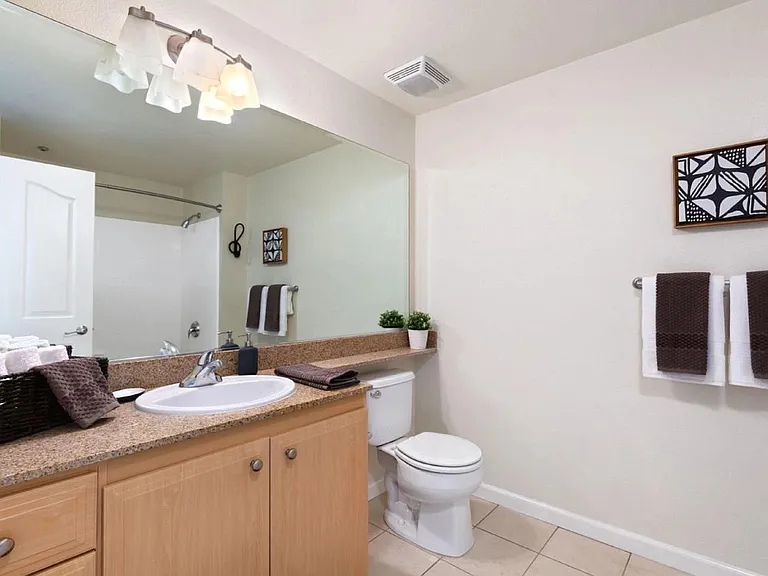Large second bathroom shower over tub