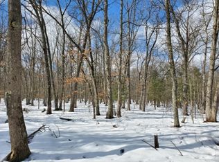 Dexter Rd, Irons, MI 49644