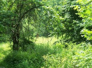 Little Italy Rd, Ivydale, WV 25113