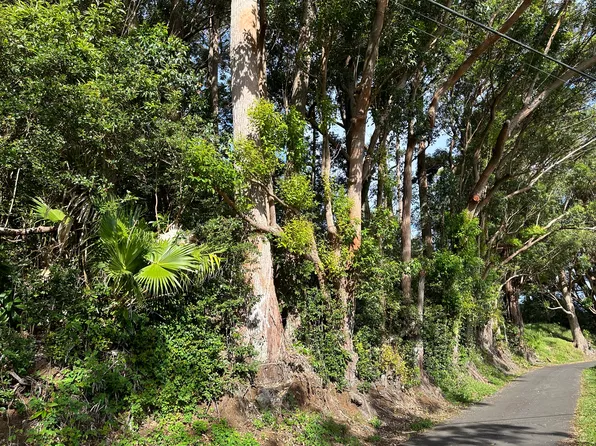 Kaapahu Rd Lot 9, Honokaa, HI 96727