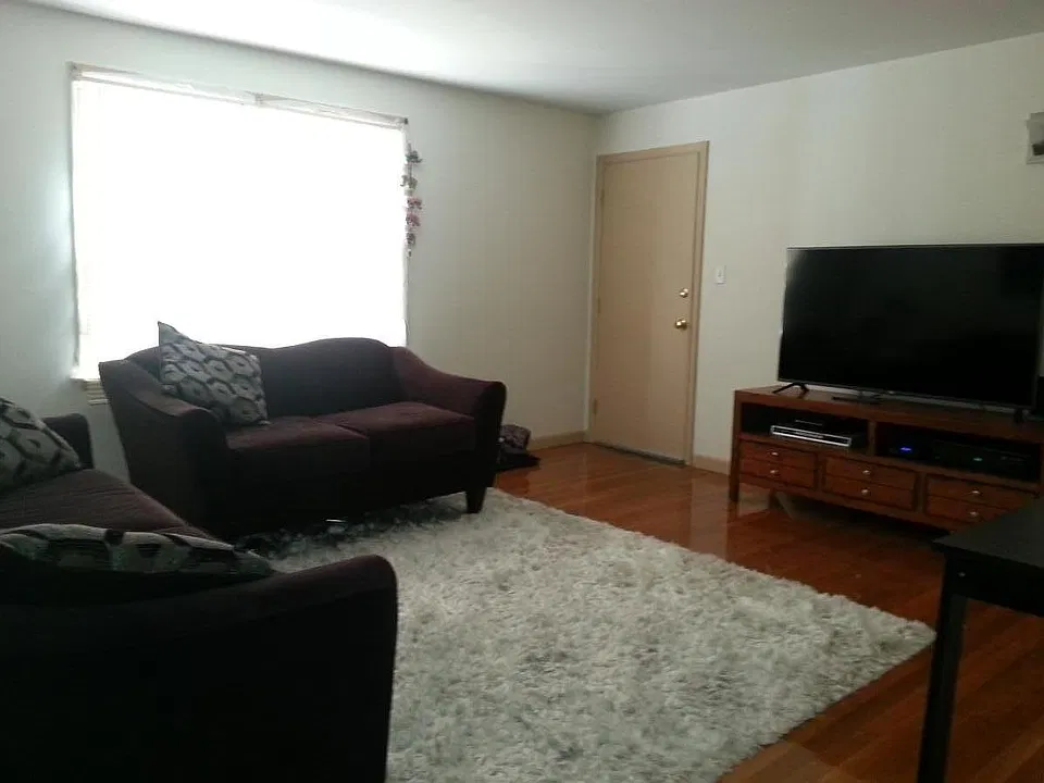 Large Living Room