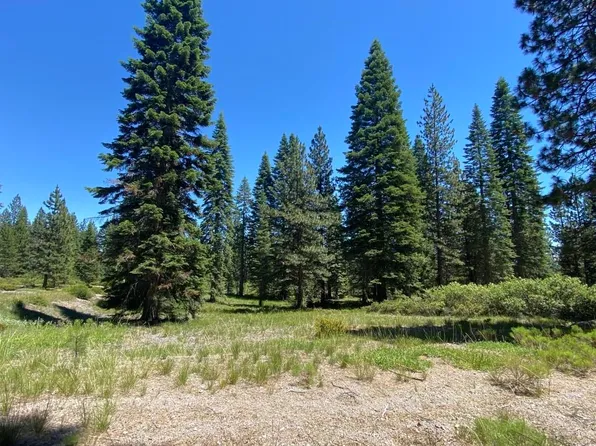 2-E-15 Snowline Cir, McCloud, CA 96057