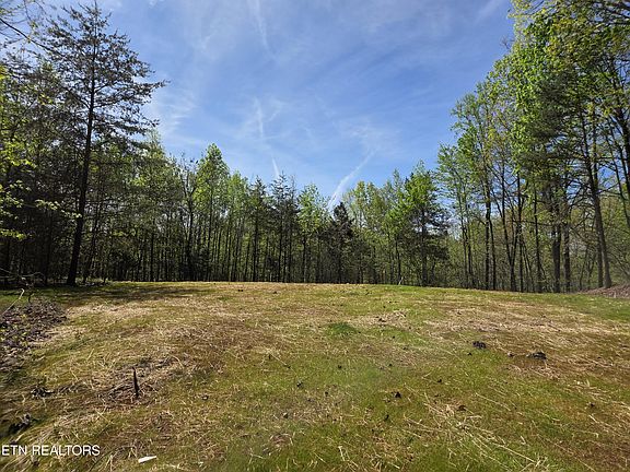 5th image of 354 Ladd Ridge Rd