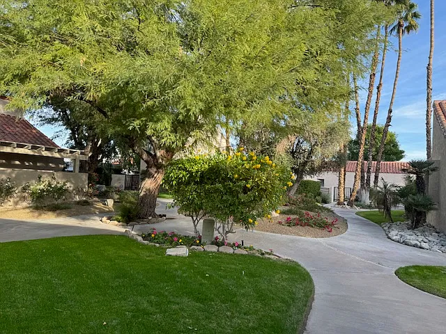 Area around home.