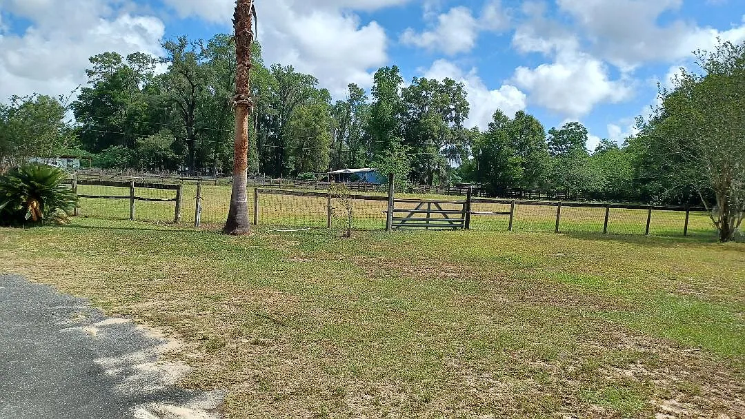 NW Gainesville Rd, Reddick — Photo 2