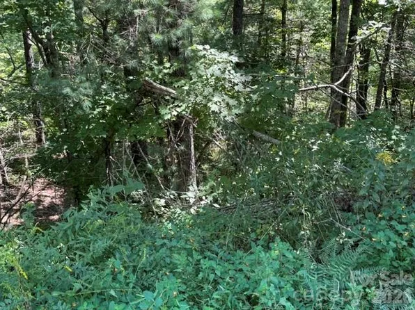 Jarvis Dr, Hendersonville, NC 28792