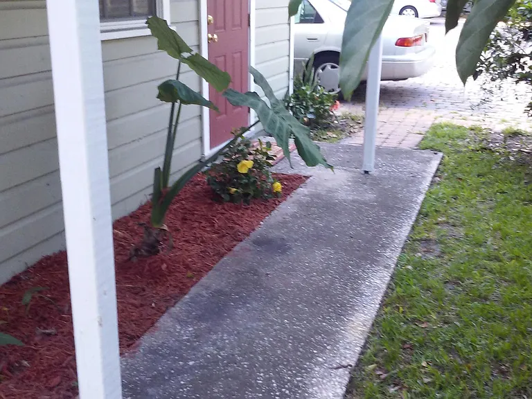 319 E Livingston St #2 — Photo 16