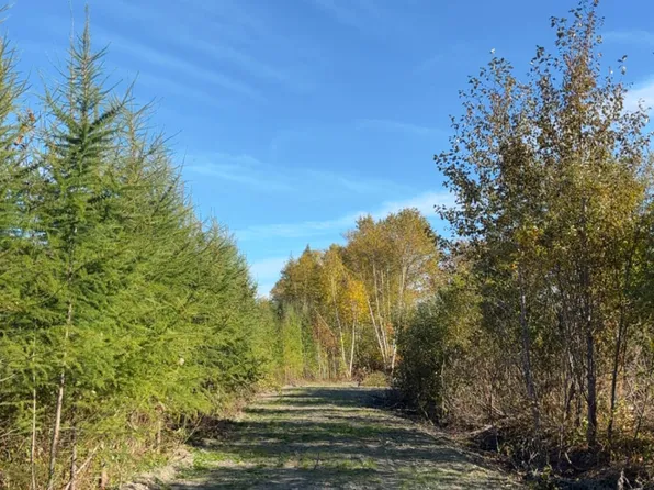 M36L25 Lot 25, Grand Isle, ME 04746