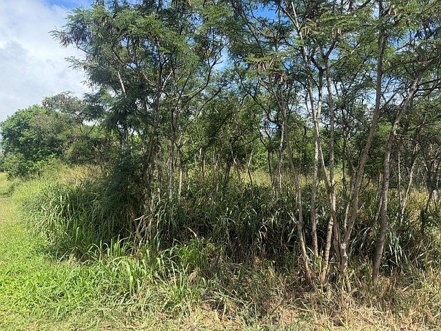 2nd image of 94-6285 Mark Twain St Lot 7