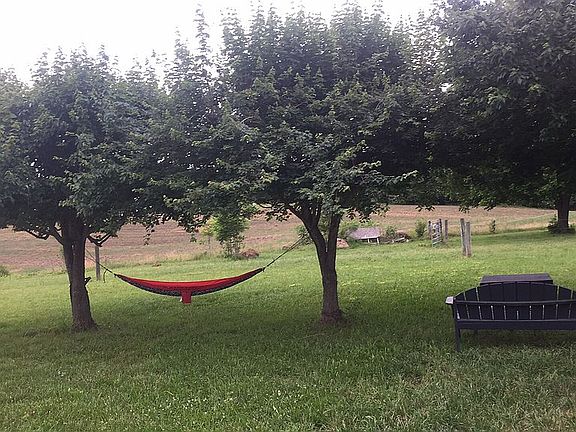Back yard