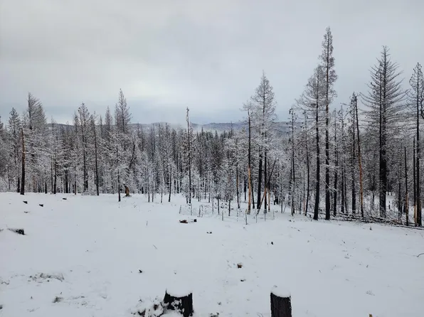 4873 Mount Pleasant Dr, Grizzly Flats, CA 95636