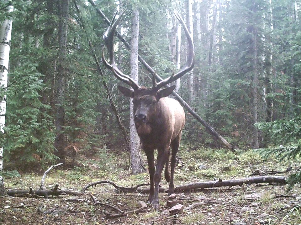 1st image of 8685 Cub Creek Trl