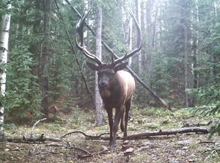 8685 Cub Creek Trl, Conifer, CO 80433