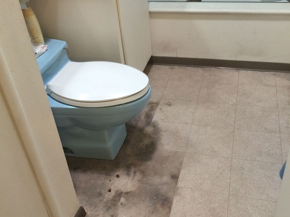 Main bathroom, toilet leak