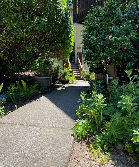 walkway from the driveway to the cottage
