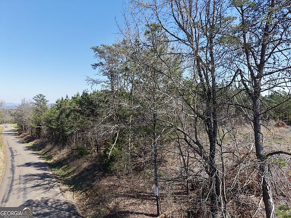 5th image of 0 Young Loop #7206