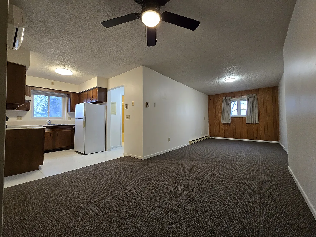 Kitchen, dining space, livingroom - 118 S Main St #2