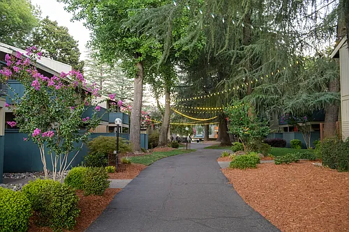 American River Commons Photo 1