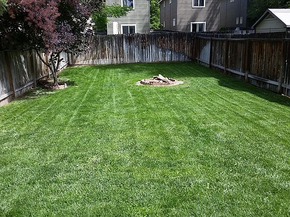 Nice large backyard