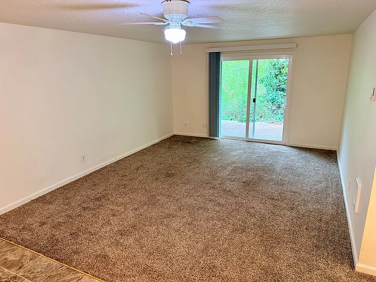 Two Bedroom Apartment in Central Salem — Photo 4